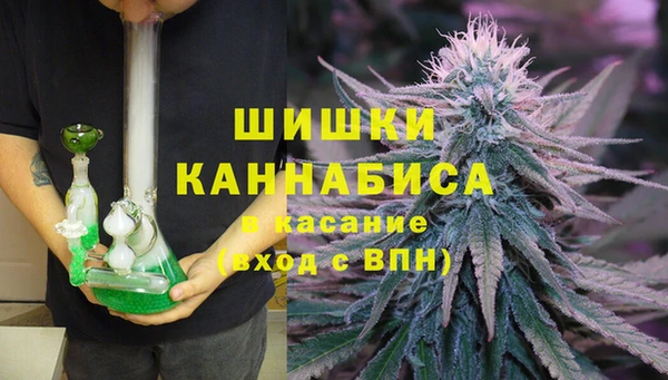 каннабис Новозыбков