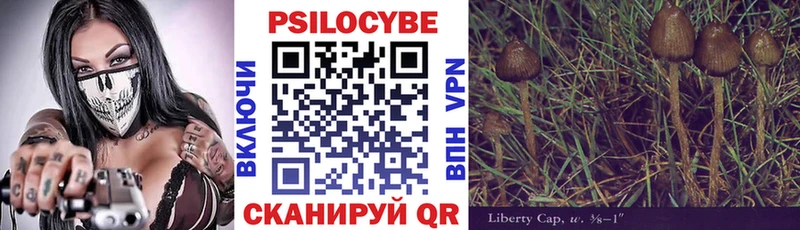 наркошоп  Братск  Псилоцибиновые грибы прущие грибы 