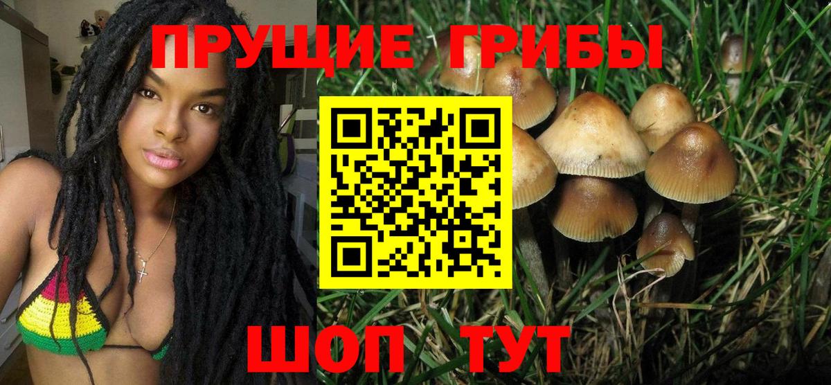 Псилоцибиновые грибы Magic Shrooms  что такое наркотик  Братск  Вход с VPN 