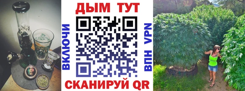 mega онион Братск Бошки марихуана OG Kush